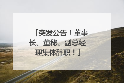 突发公告！董事长、董秘、副总经理集体辞职！