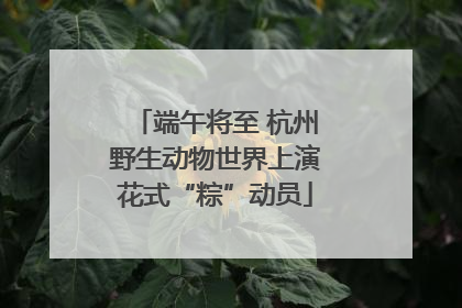 端午将至 杭州野生动物世界上演花式“粽”动员