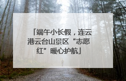 端午小长假，连云港云台山景区“志愿红”暖心护航