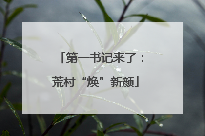 第一书记来了：荒村“焕”新颜