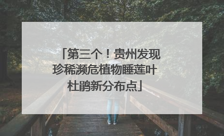 第三个！贵州发现珍稀濒危植物睡莲叶杜鹃新分布点