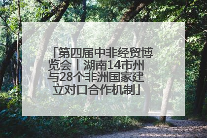 第四届中非经贸博览会丨湖南14市州与28个非洲国家建立对口合作机制