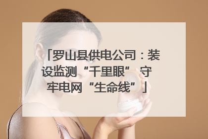 罗山县供电公司：装设监测“千里眼” 守牢电网“生命线”
