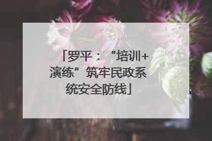 罗平：“培训+演练”筑牢民政系统安全防线