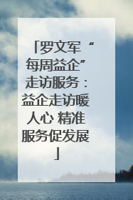 罗文军“每周益企”走访服务：益企走访暖人心 精准服务促发展