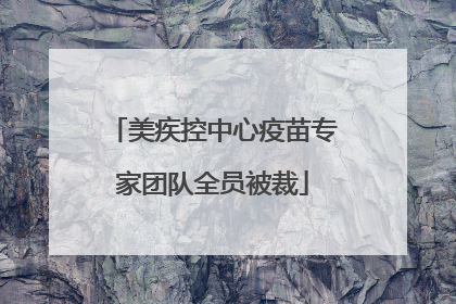 美疾控中心疫苗专家团队全员被裁