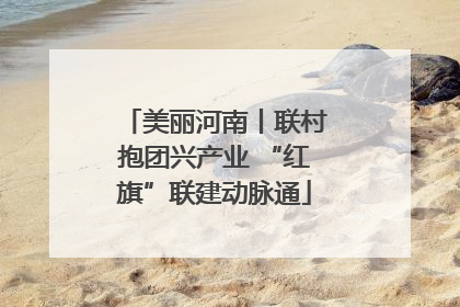 美丽河南丨联村抱团兴产业 “红旗”联建动脉通