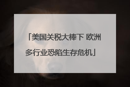 美国关税大棒下 欧洲多行业恐陷生存危机