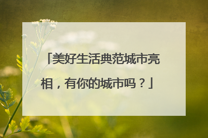 美好生活典范城市亮相，有你的城市吗？