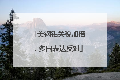 美钢铝关税加倍，多国表达反对