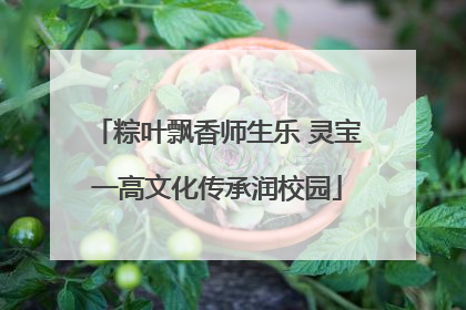 粽叶飘香师生乐 灵宝一高文化传承润校园