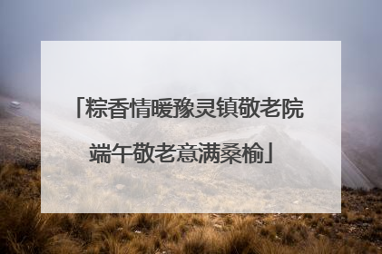 粽香情暖豫灵镇敬老院 端午敬老意满桑榆