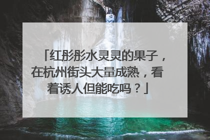 红彤彤水灵灵的果子，在杭州街头大量成熟，看着诱人但能吃吗？
