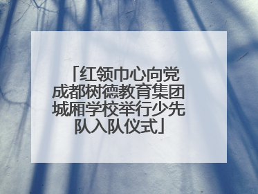 红领巾心向党 成都树德教育集团城厢学校举行少先队入队仪式