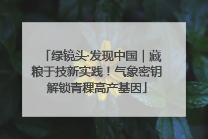 绿镜头·发现中国｜藏粮于技新实践！气象密钥解锁青稞高产基因