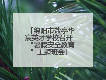 绵阳市盐亭华宸英才学校召开“暑假安全教育”主题班会