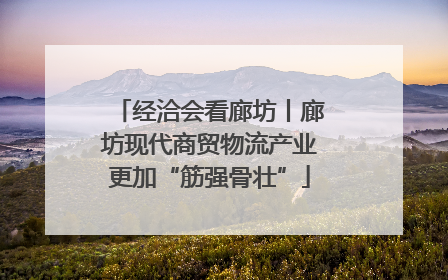 经洽会看廊坊丨廊坊现代商贸物流产业更加“筋强骨壮”