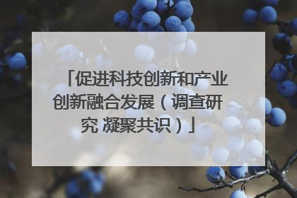 促进科技创新和产业创新融合发展（调查研究 凝聚共识）