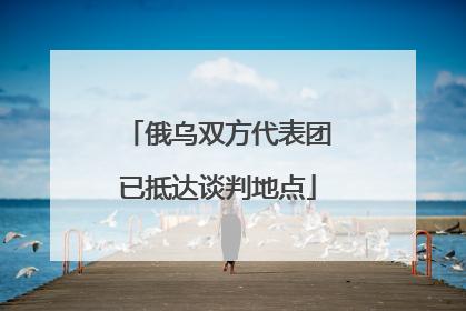 俄乌双方代表团已抵达谈判地点