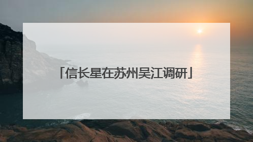 信长星在苏州吴江调研