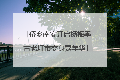 侨乡南安开启杨梅季 古老圩市变身嘉年华