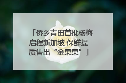 侨乡青田首批杨梅启程新加坡 保鲜提质售出“金果果”