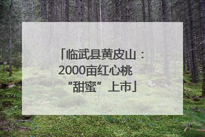 临武县黄皮山：2000亩红心桃“甜蜜”上市
