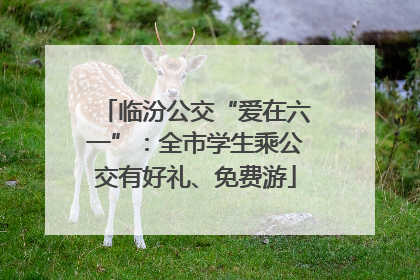 临汾公交“爱在六一”：全市学生乘公交有好礼、免费游