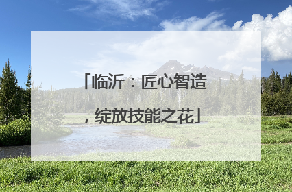 临沂：匠心智造，绽放技能之花
