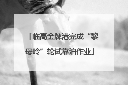 临高金牌港完成“黎母岭”轮试靠泊作业