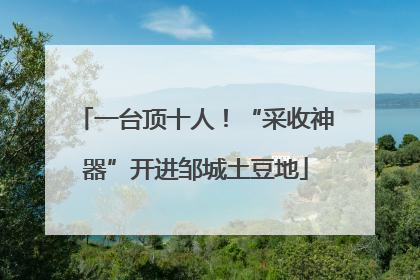 一台顶十人！“采收神器”开进邹城土豆地