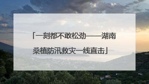 一刻都不敢松劲——湖南桑植防汛救灾一线直击