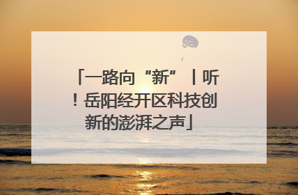 一路向“新”丨听！岳阳经开区科技创新的澎湃之声