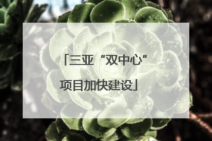 三亚“双中心”项目加快建设