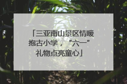 三亚南山景区情暖抱古小学，“六一”礼物点亮童心