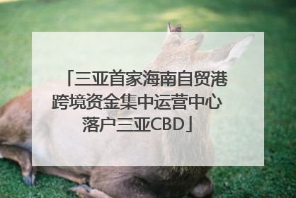 三亚首家海南自贸港跨境资金集中运营中心落户三亚CBD