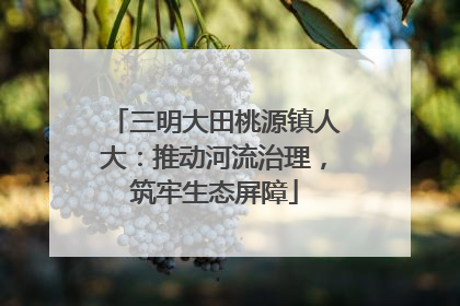 三明大田桃源镇人大：推动河流治理，筑牢生态屏障