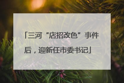 三河“店招改色”事件后，迎新任市委书记