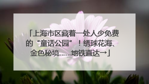 上海市区藏着一处人少免费的“童话公园”！绣球花海、金色秘境……地铁直达→