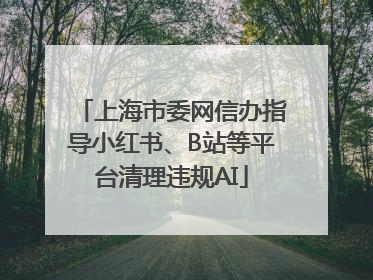 上海市委网信办指导小红书、B站等平台清理违规AI