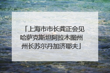 上海市市长龚正会见哈萨克斯坦阿拉木图州州长苏尔丹加济耶夫