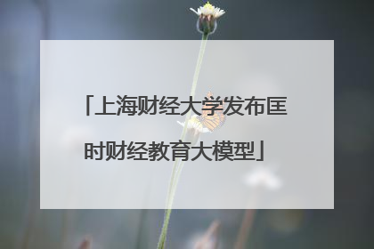 上海财经大学发布匡时财经教育大模型