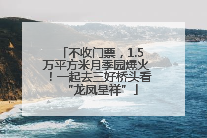 不收门票，1.5万平方米月季园爆火！一起去三好桥头看“龙凤呈祥”