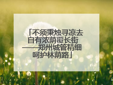 不须秉烛寻凉去 自有浓荫覆长街——郑州城管精细呵护林荫路