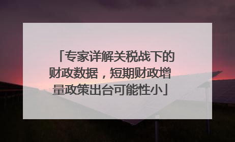 专家详解关税战下的财政数据，短期财政增量政策出台可能性小