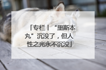 专栏丨“里斯本丸”沉没了，但人性之光永不沉没