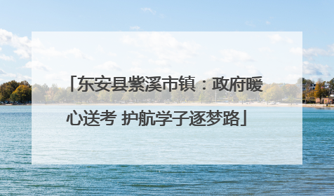 东安县紫溪市镇：政府暖心送考 护航学子逐梦路