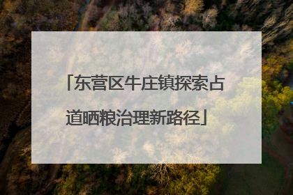 东营区牛庄镇探索占道晒粮治理新路径