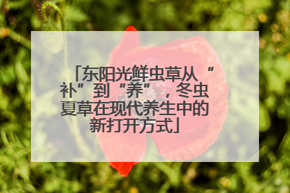 东阳光鲜虫草从“补”到“养”，冬虫夏草在现代养生中的新打开方式