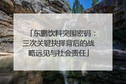 东鹏饮料突围密码：三次关键抉择背后的战略远见与社会责任